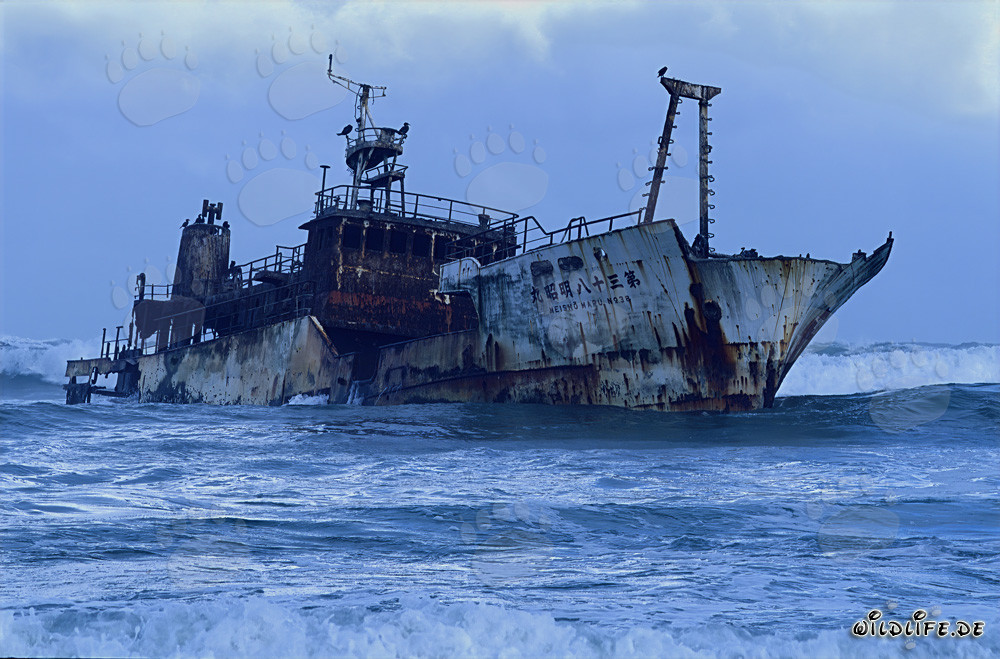 Épave du Meisho Maru 38 au Cap Agulhas en 1982