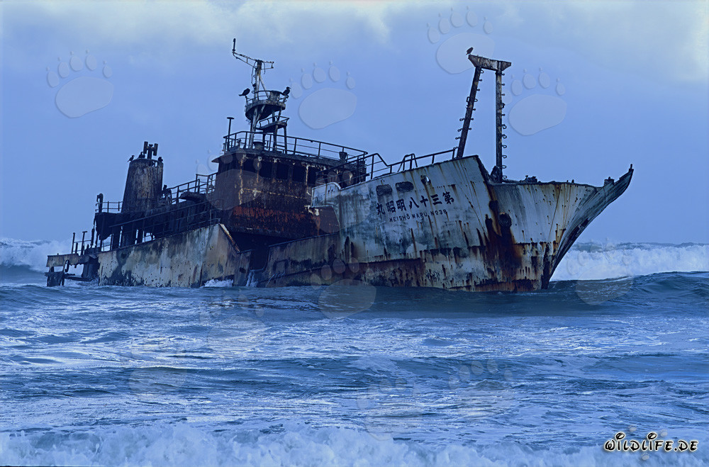 Wreck of the Meisho Maru 38 at Cape Agulhas in 1982