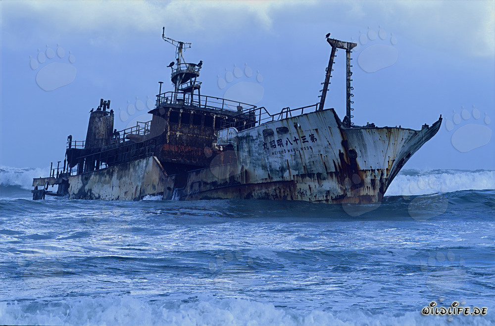 Relitto del Meisho Maru 38 al Capo Agulhas nel 1982