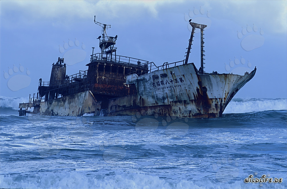 Wrack des Meisho Maru 38 am Kap Agulhas im Jahr 1982