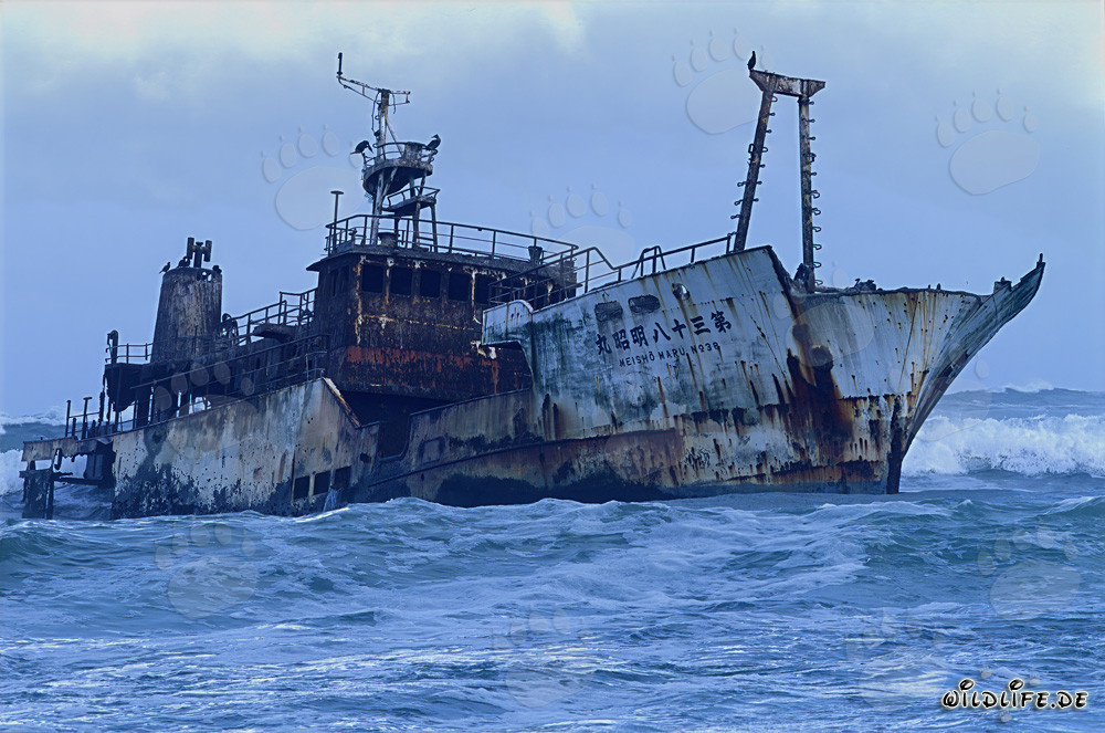 Naufragio del Meisho Maru 38 en el peligroso Cabo Agulhas en Sudáfrica