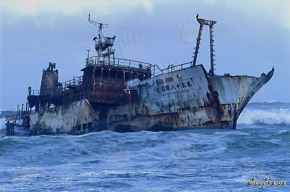 Épave du Meisho Maru 38 au dangereux Cap Agulhas en Afrique du Sud