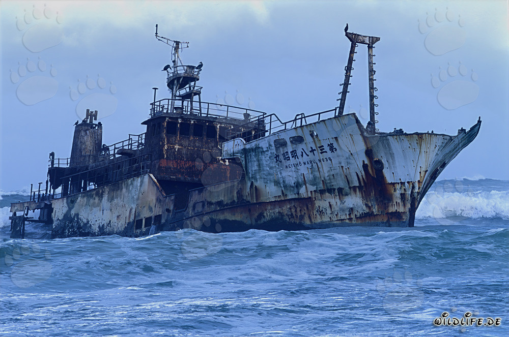 Wreck of the Meisho Maru 38 at the dangerous Cape Agulhas in South Africa