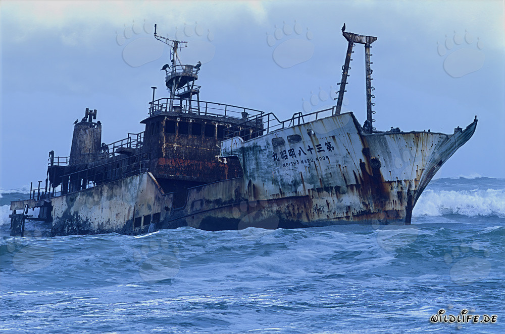 Relitto del Meisho Maru 38 al pericoloso Capo Agulhas in Sudafrica