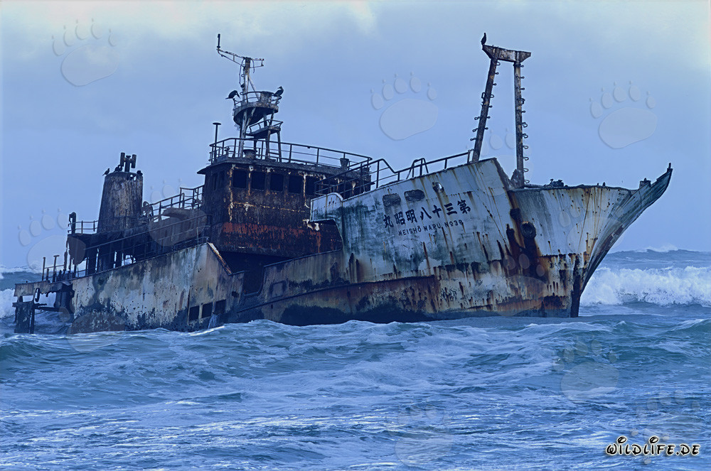 Wrack des Meisho Maru 38 am gefährlichen Kap Agulhas in Südafrika