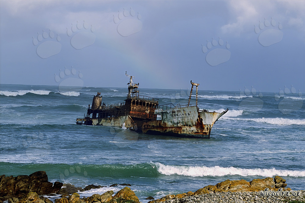 Meisho Maru 38 - The Tragic End at Cape Agulhas