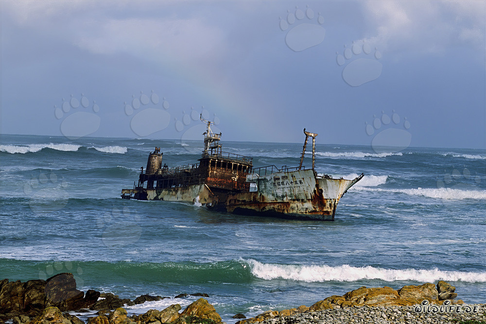 Meisho Maru 38 - La tragica fine al Capo Agulhas