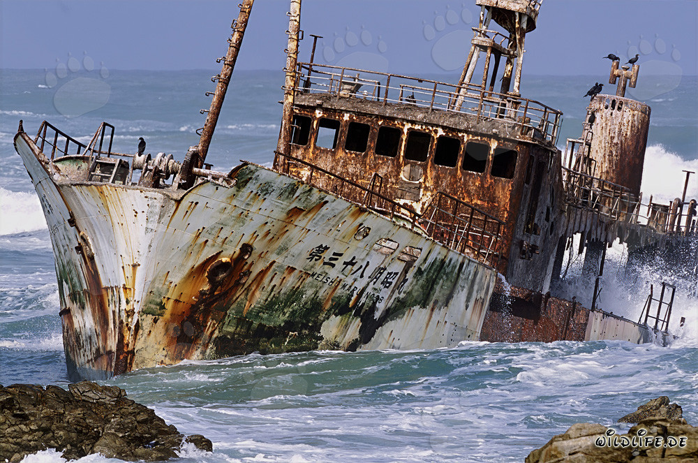 Naufragio del Meisho Maru 38 en el Cabo Agulhas