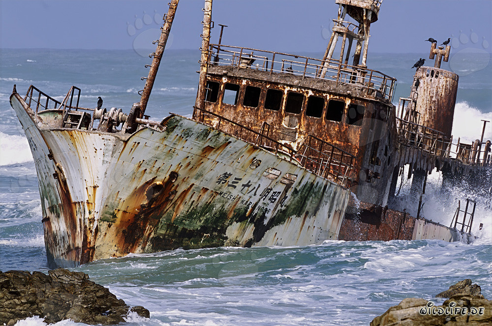 Relitto del Meisho Maru 38 al Capo Agulhas