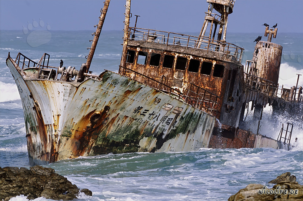 Meisho Maru 38 - Wrack am Cape Agulhas
