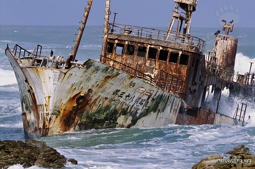 Épave du Meisho Maru 38 au Cap Agulhas