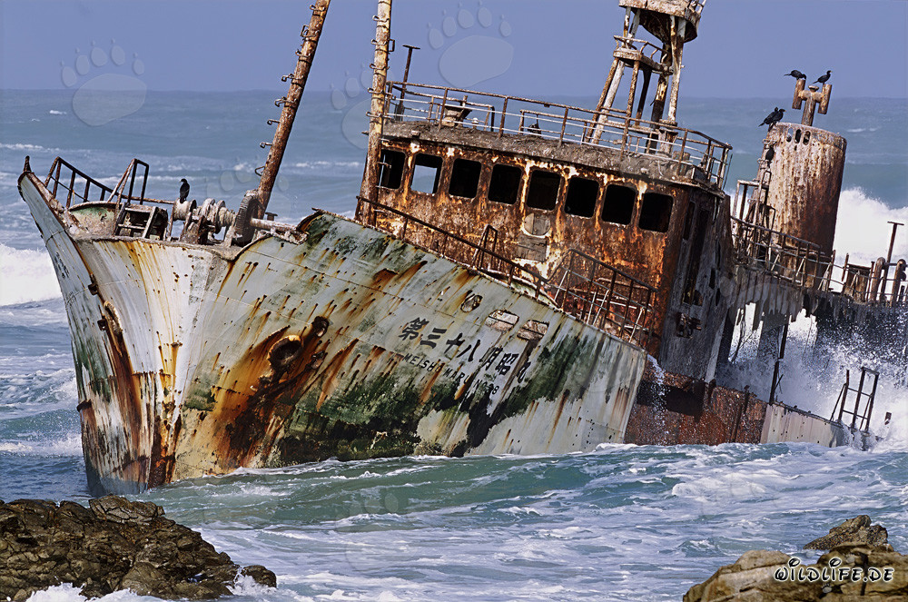 Naufragio del Meisho Maru 38 en el Cabo Agulhas