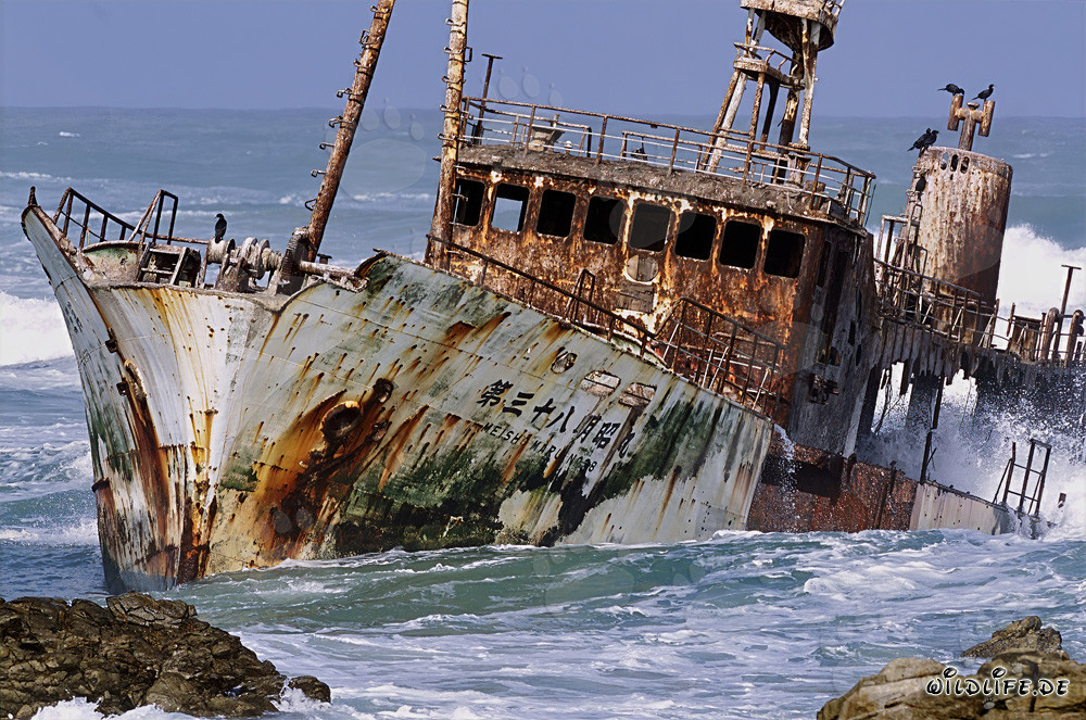 Relitto del Meisho Maru 38 al Capo Agulhas