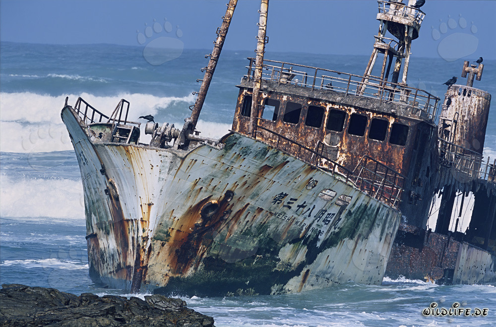 Chalutier Meisho Maru 38 échoué au Cap des Aiguilles - Épave dramatique au point le plus au sud de l'Afrique