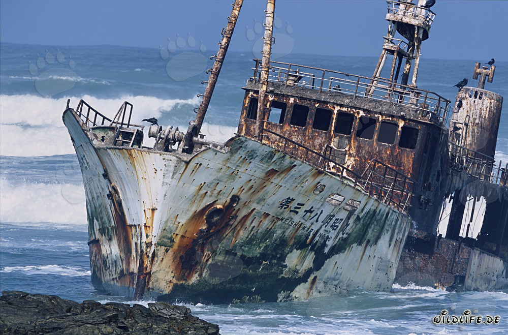Arrastrero Meisho Maru 38 encallado en Cabo Agulhas - Dramática nave naufragada en el punto más al sur de África