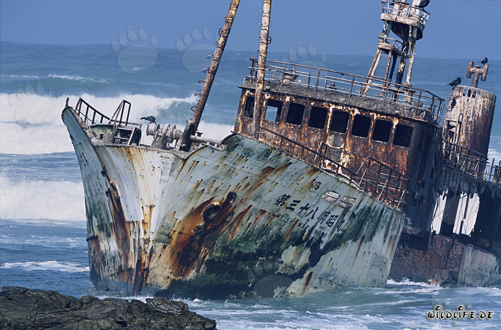 Fischtrawler Meisho Maru 38 aufgelaufen am Nadelkap - Dramatisches Schiffswrack an der südlichsten Spitze Afrikas
