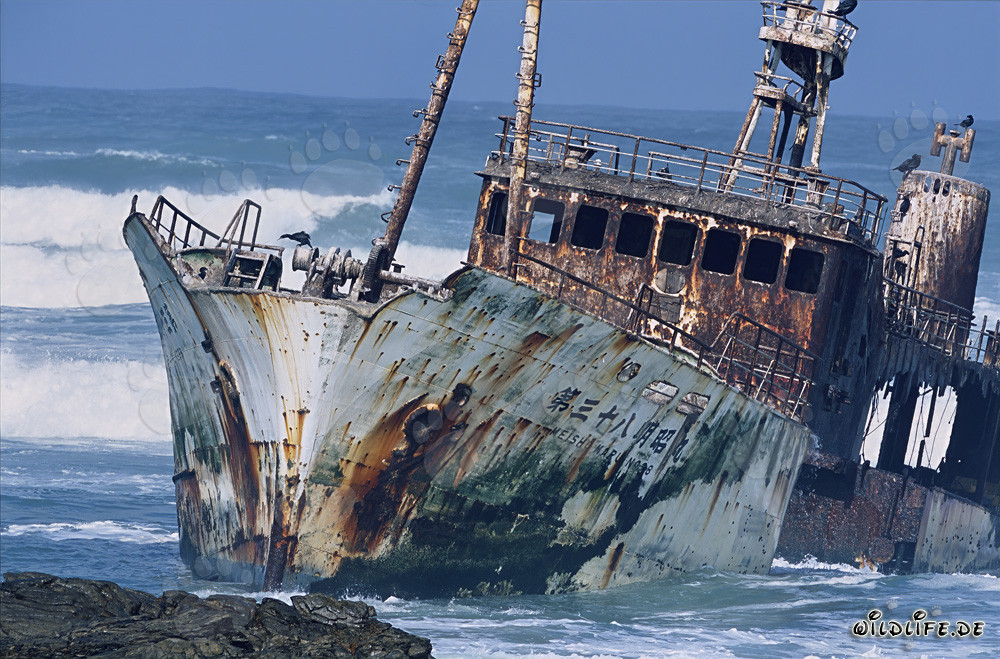 Fishing trawler Meisho Maru 38 accrued on Cape Agulhas - Dramatic shipwreck at the southernmost tip of Africa