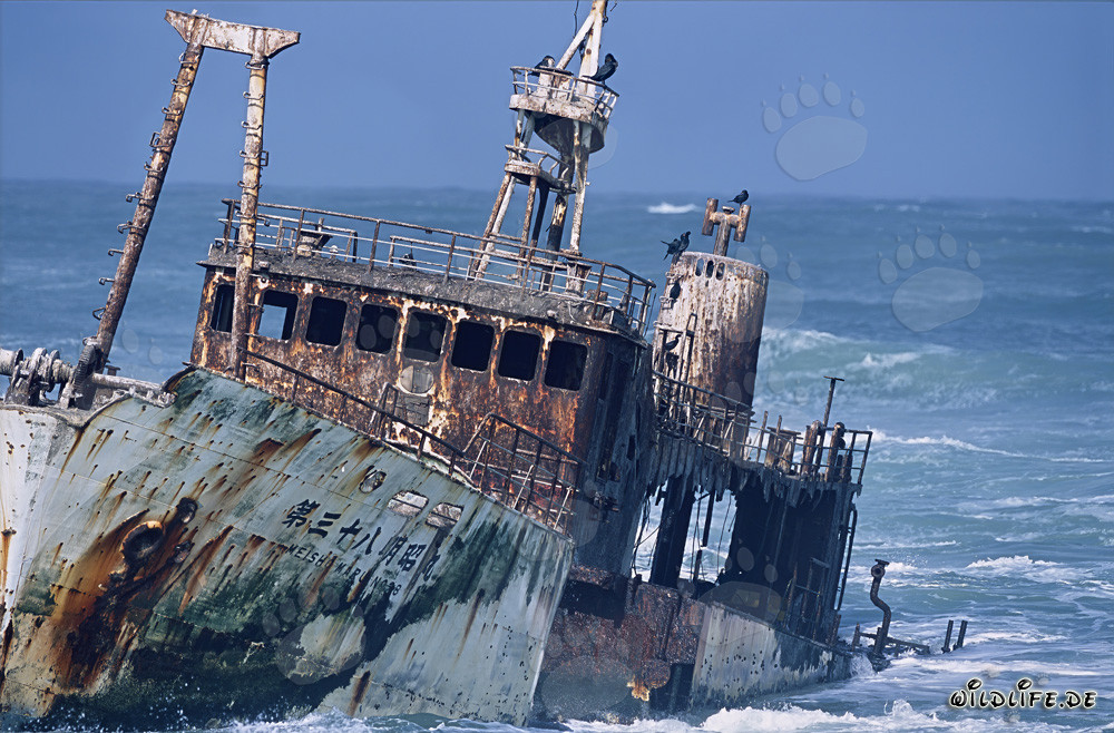Meisho Maru 38 auf Grund gelaufen an der Südspitze Afrikas