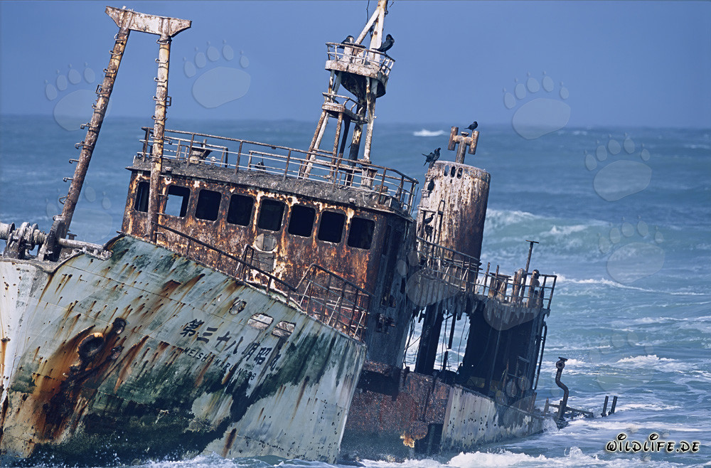 Meisho Maru 38 Ran aground at The tip of Africa