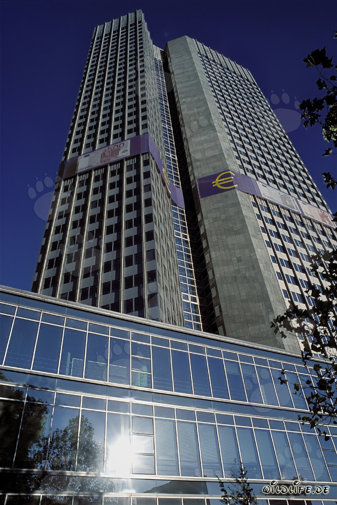 Banca Centrale Europea (BCE) - Architettura della Torre Euro a Francoforte sul Meno