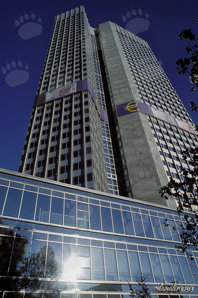 Banco Central Europeo (BCE) - Arquitectura de la Torre Euro en Frankfurt del Meno