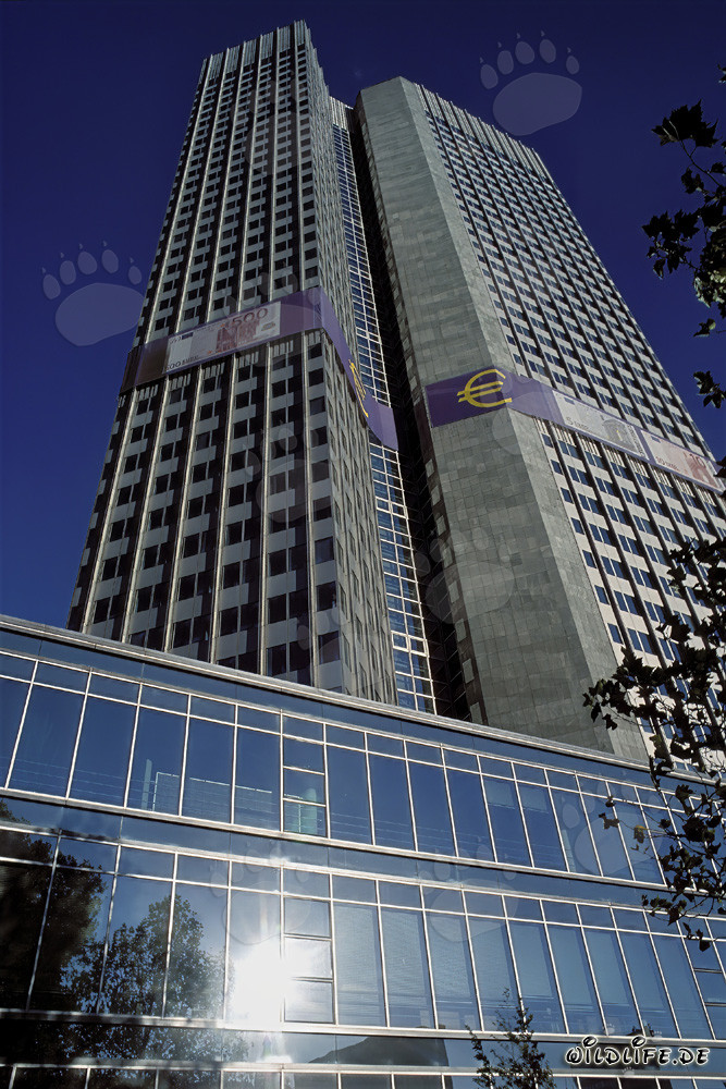 Banque centrale européenne (BCE) - Architecture de la tour Euro à Francfort-sur-le-Main