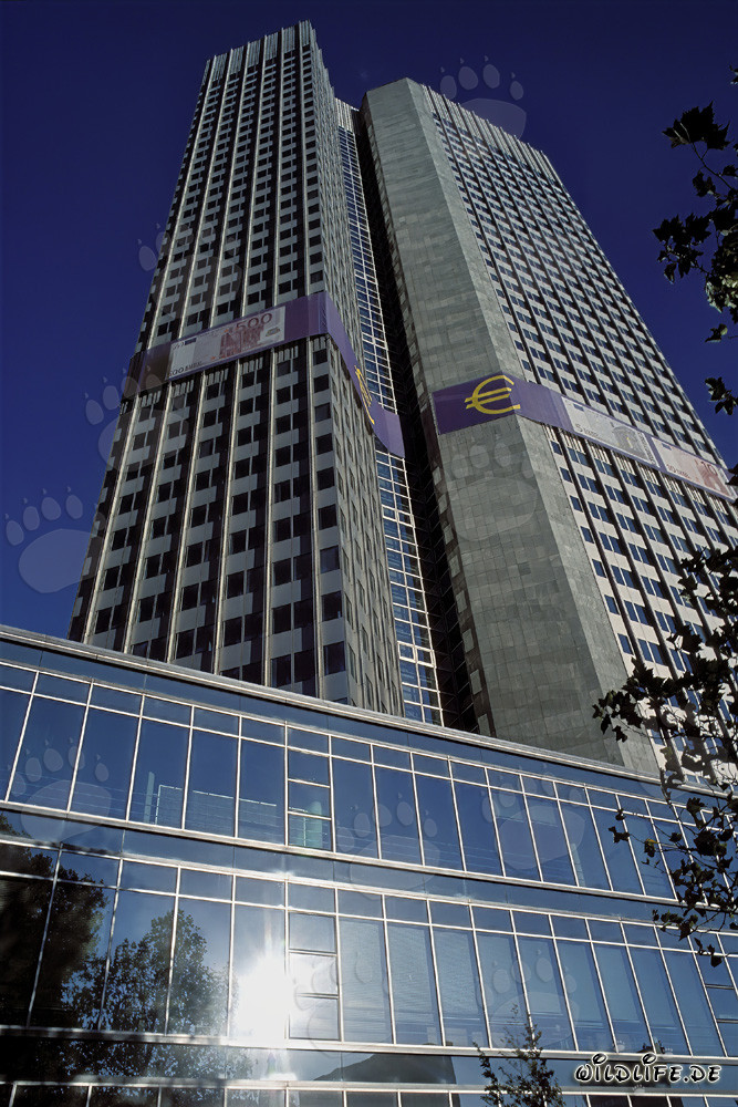Europäische Zentralbank (EZB) - Eurotower Architektur in Frankfurt am Main