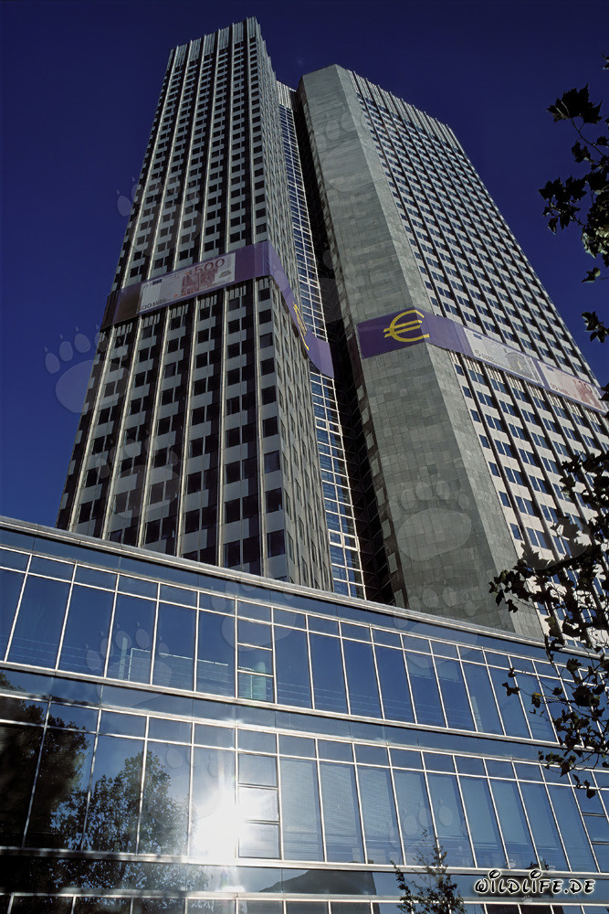 European Central Bank (ECB) - Eurotower Architecture in Frankfurt am Main