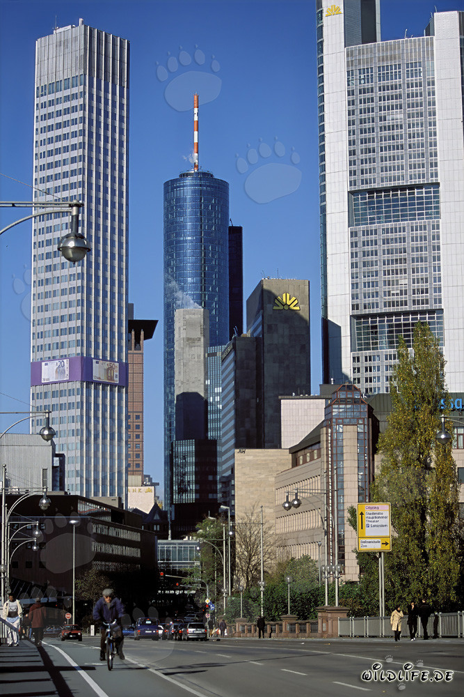 Banque centrale européenne (BCE) - Eurotower à Francfort-sur-le-Main, Allemagne