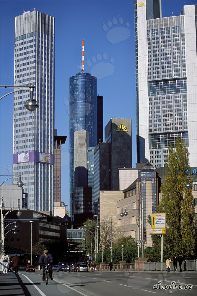 Europäische Zentralbank (EZB) - Eurotower in Frankfurt am Main, Deutschland