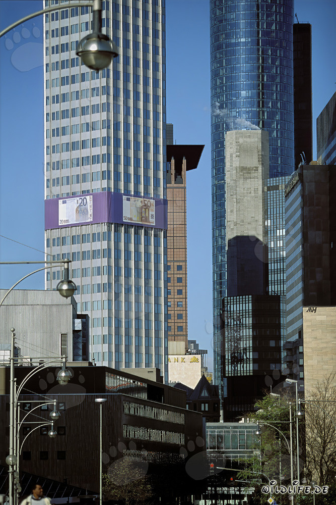 Banco Central Europeo (BCE) - Arquitectura de la torre Euro de noche