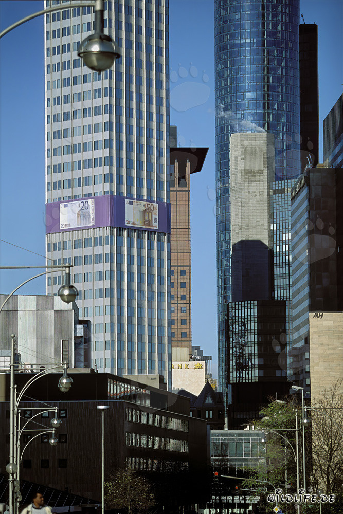 Banque centrale européenne (BCE) - Architecture de la tour Euro la nuit