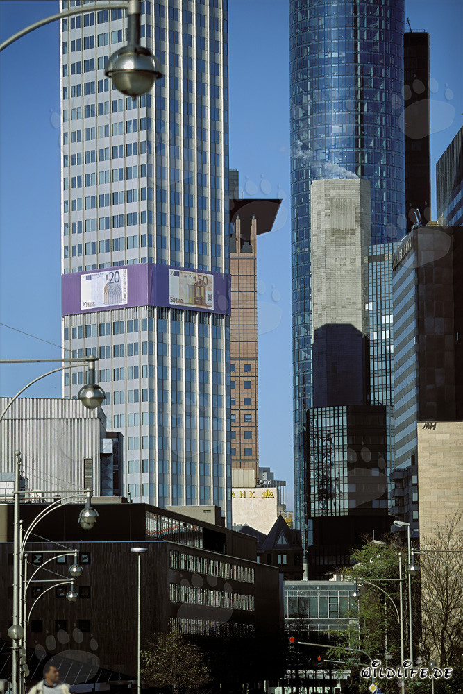 Europäische Zentralbank (EZB) - Eurotower Architektur bei Nacht
