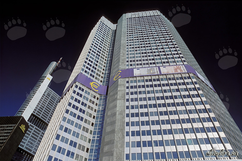 Banca Centrale Europea (BCE) - Torre Euro a Francoforte sul Meno
