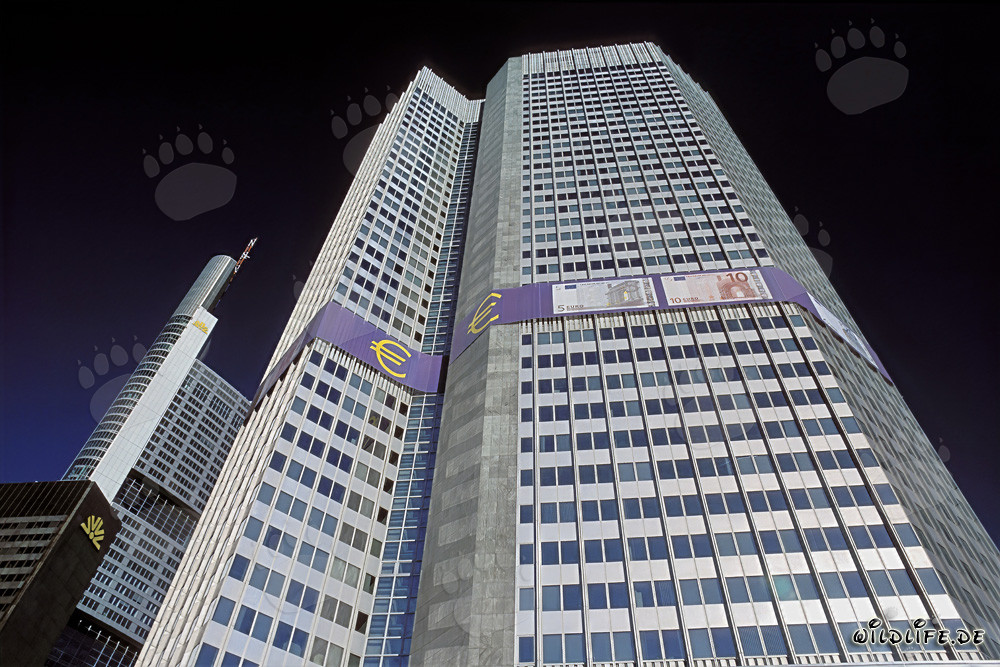 Europäische Zentralbank (EZB) - Eurotower in Frankfurt am Main