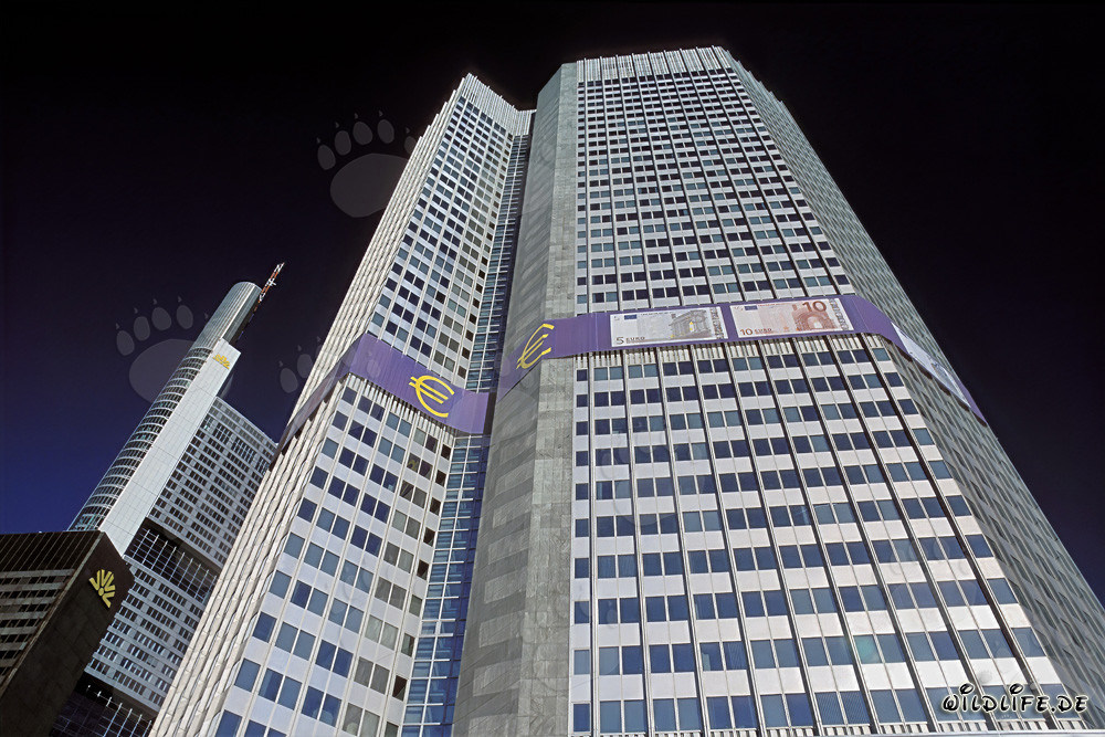 European Central Bank (ECB) - Eurotower in Frankfurt am Main