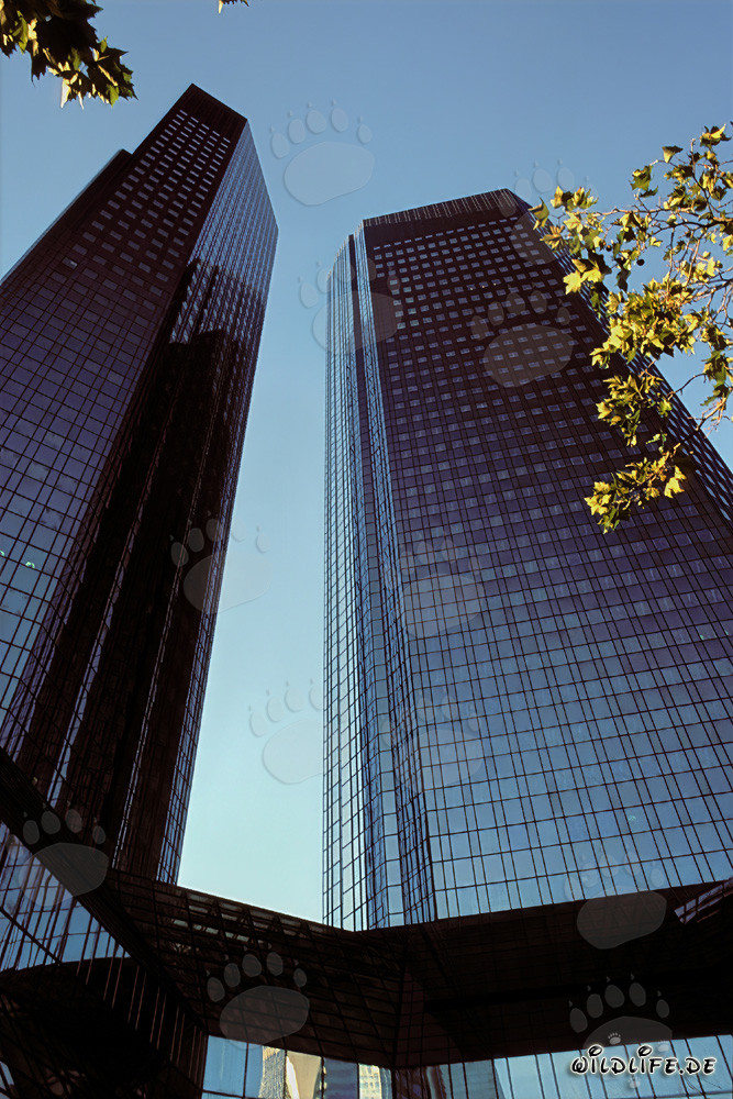 The Deutsche Bank Headquarters in Frankfurt - Symbol of the Banking City