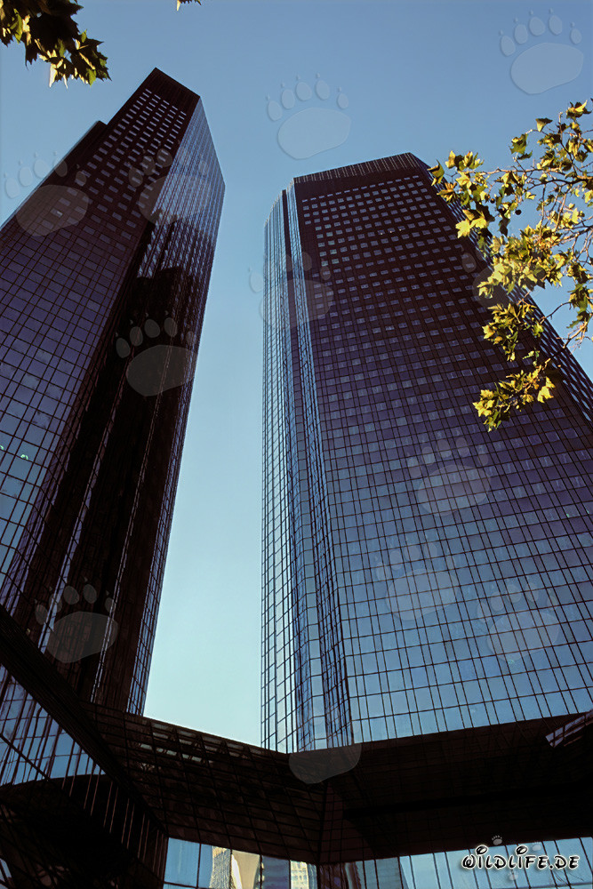 Die Deutsche Bank Zentrale in Frankfurt - Symbol der Bankenstadt