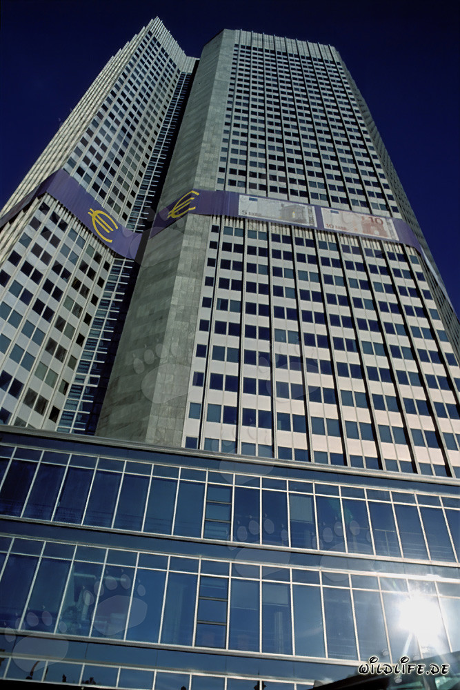 Banca Centrale Europea (BCE) - Eurotower a Francoforte sul Meno