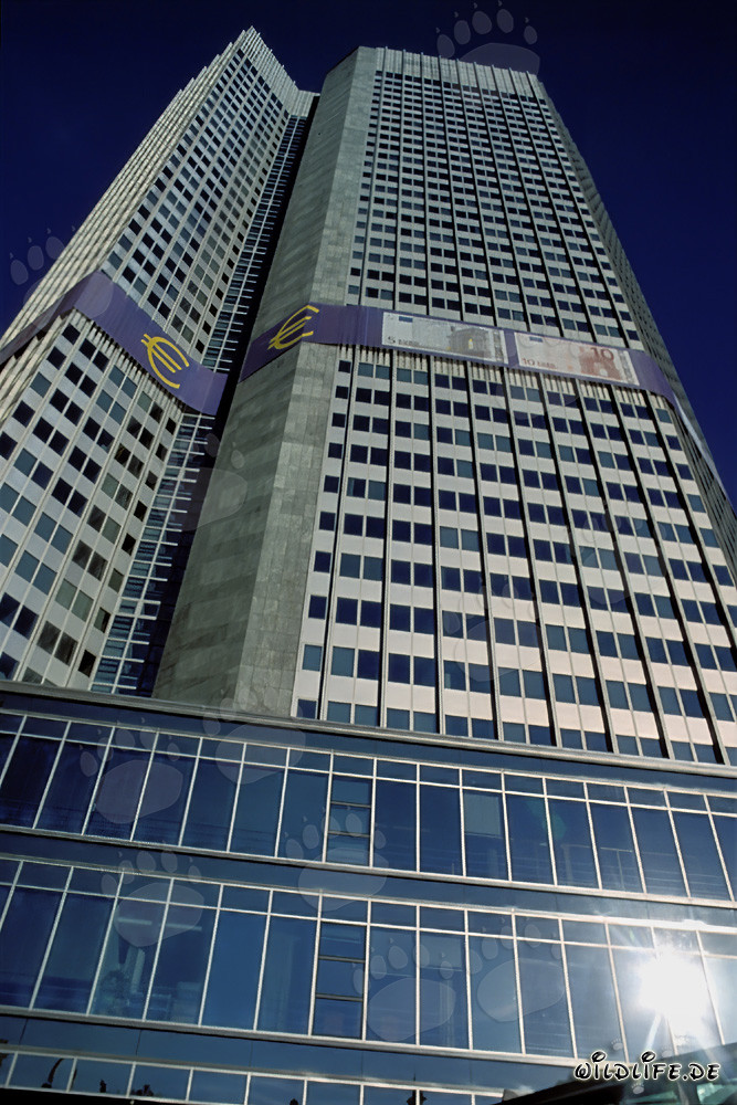 Europäische Zentralbank (EZB) - Eurotower in Frankfurt am Main
