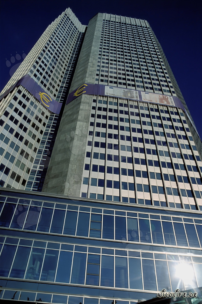 European Central Bank (ECB) - Eurotower in Frankfurt am Main