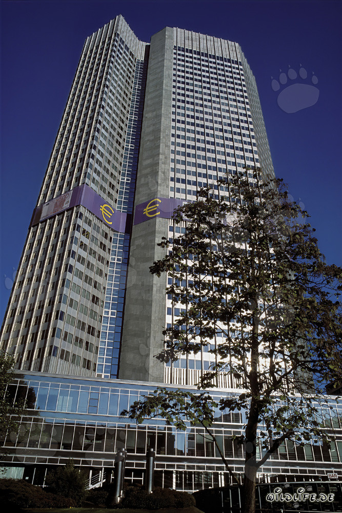 Banco Central Europeo (BCE) - Torre del Euro en Fráncfort del Meno