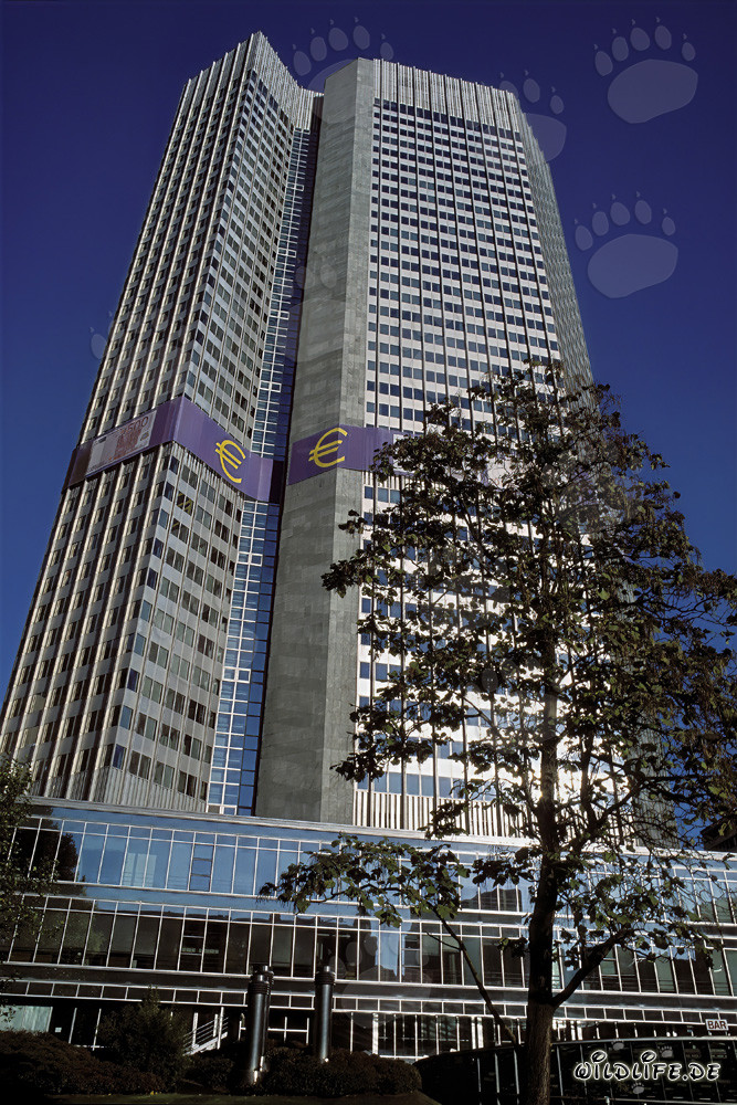 Europäische Zentralbank (EZB) - Eurotower in Frankfurt am Main