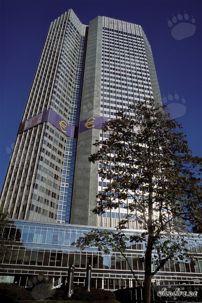 European Central Bank (ECB) - Eurotower in Frankfurt am Main