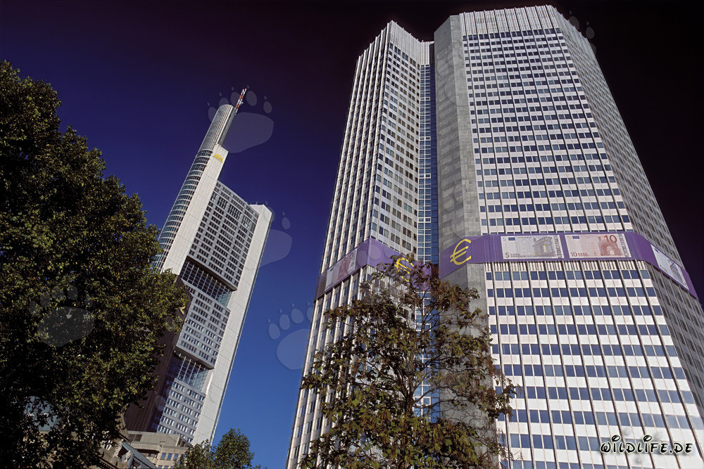 Banca Centrale Europea (BCE) - Eurotower a Francoforte sul Meno