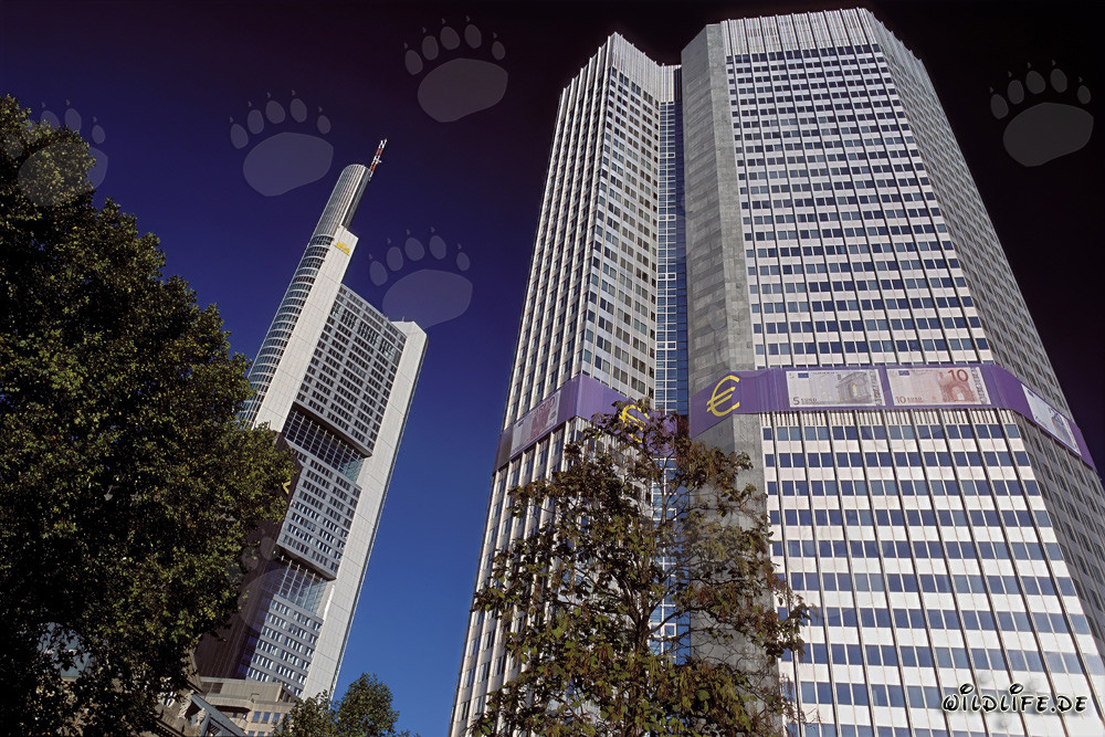 Banco Central Europeo (BCE) - Eurotower en Frankfurt am Main