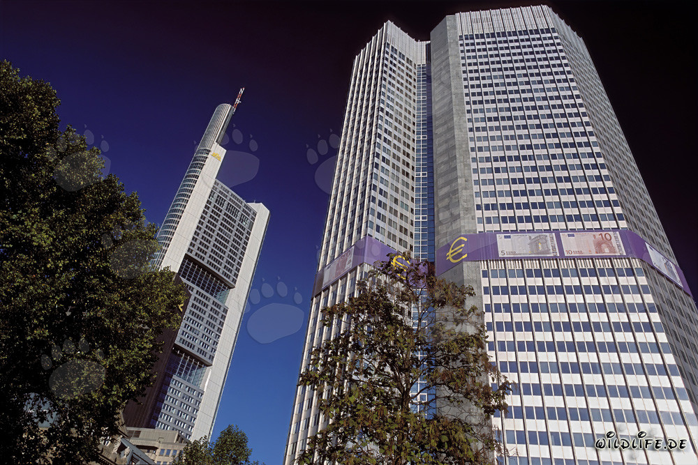 Europäische Zentralbank (EZB) - Eurotower in Frankfurt am Main