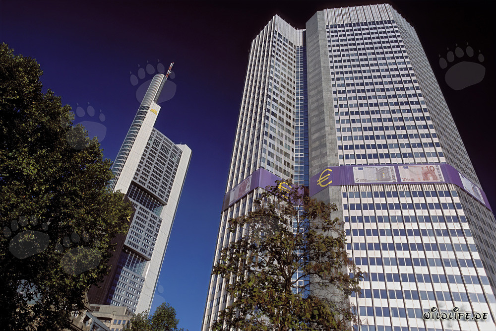 European Central Bank (ECB) - Eurotower in Frankfurt am Main