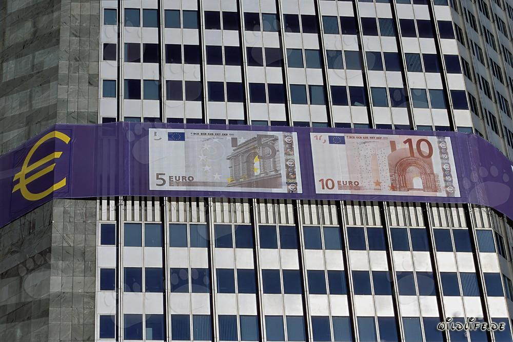 Banca Centrale Europea (BCE) - Architettura della Torre Euro al tramonto