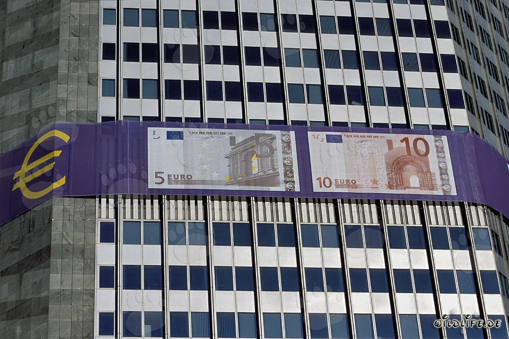 Europäische Zentralbank (EZB) - Eurotower Architektur bei Sonnenuntergang